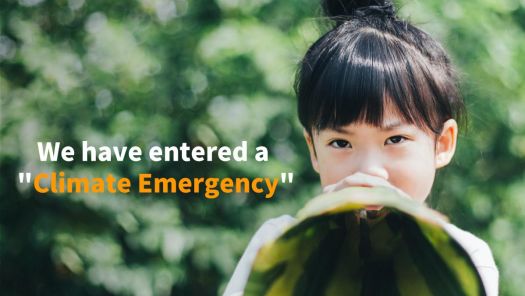 T-Global declares change for a “climate emergency”